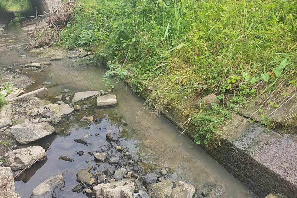 Fetor utrudnia wypoczynek w parku i uprzykrza życie sąsiadom - zdjęcie 13