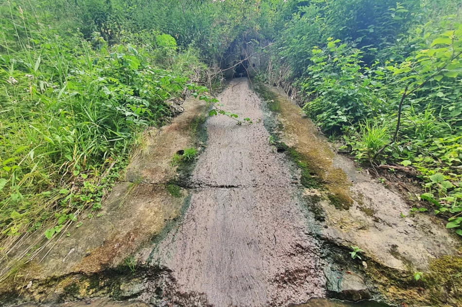 Fetor utrudnia wypoczynek w parku i uprzykrza życie sąsiadom - zdjęcie 14