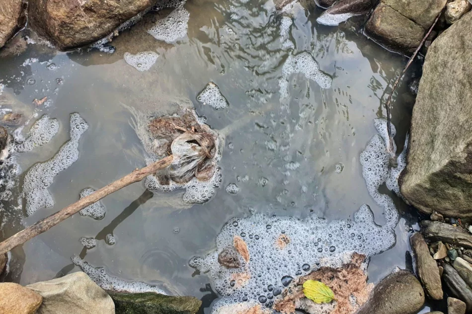 Fetor utrudnia wypoczynek w parku i uprzykrza życie sąsiadom - zdjęcie 15
