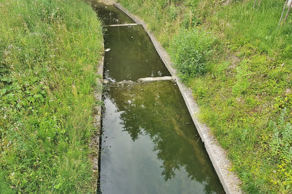Fetor utrudnia wypoczynek w parku i uprzykrza życie sąsiadom - zdjęcie 18