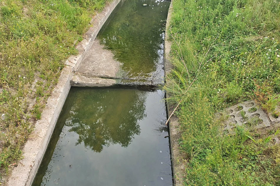 Fetor utrudnia wypoczynek w parku i uprzykrza życie sąsiadom - zdjęcie 19