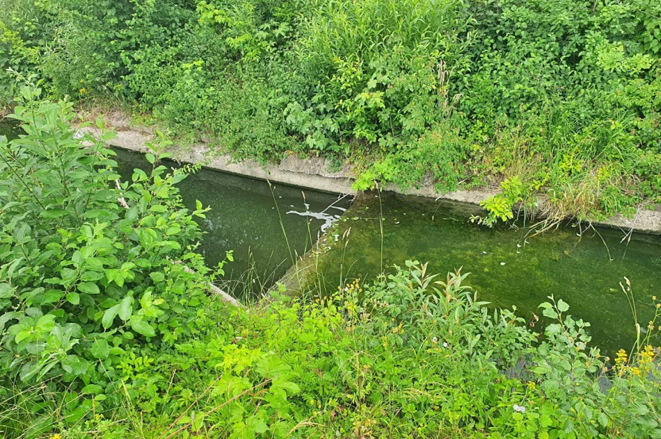 Fetor utrudnia wypoczynek w parku i uprzykrza życie sąsiadom - zdjęcie 20