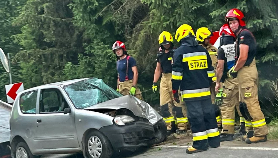 Samochód wypadł z drogi - zdjęcie 1