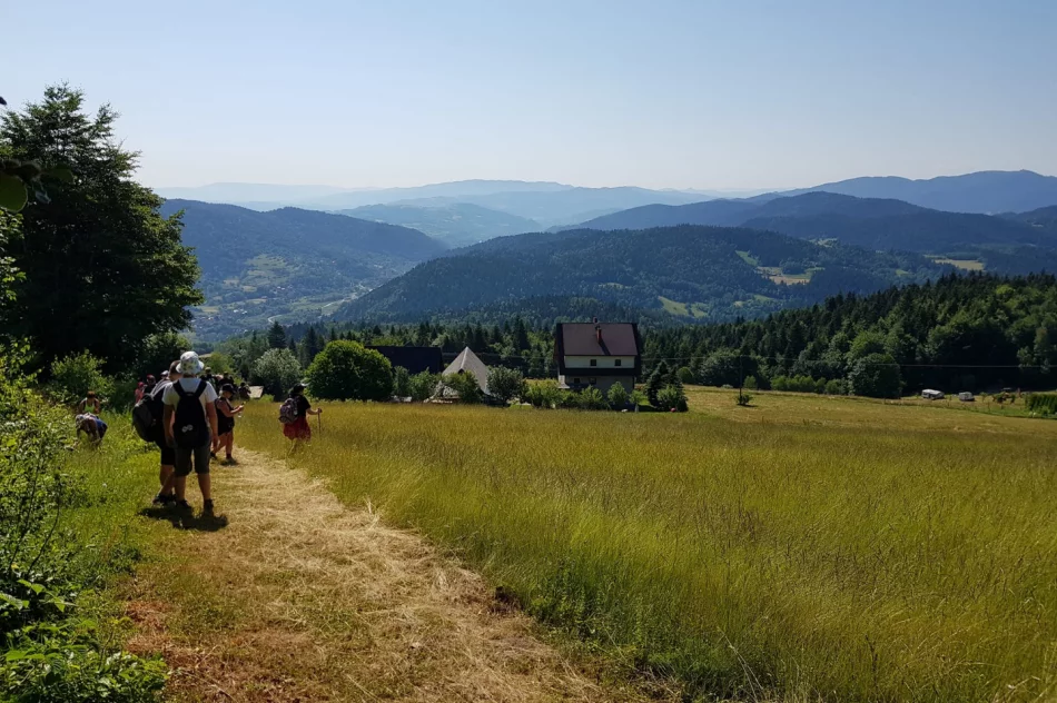 Po raz pierwszy akcja zawędrowała na Kiczorę Kamienicką - zdjęcie 9