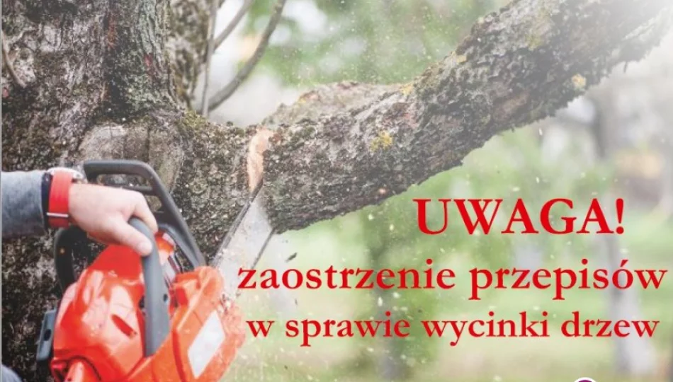 Od 17 czerwca zaostrzenie przepisów w sprawie wycinki drzew - zdjęcie 1