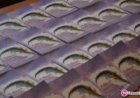 Po Wiośnie Poetyckiej - zdjęcie główne