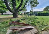 O włos od tragedii - zdjęcie główne