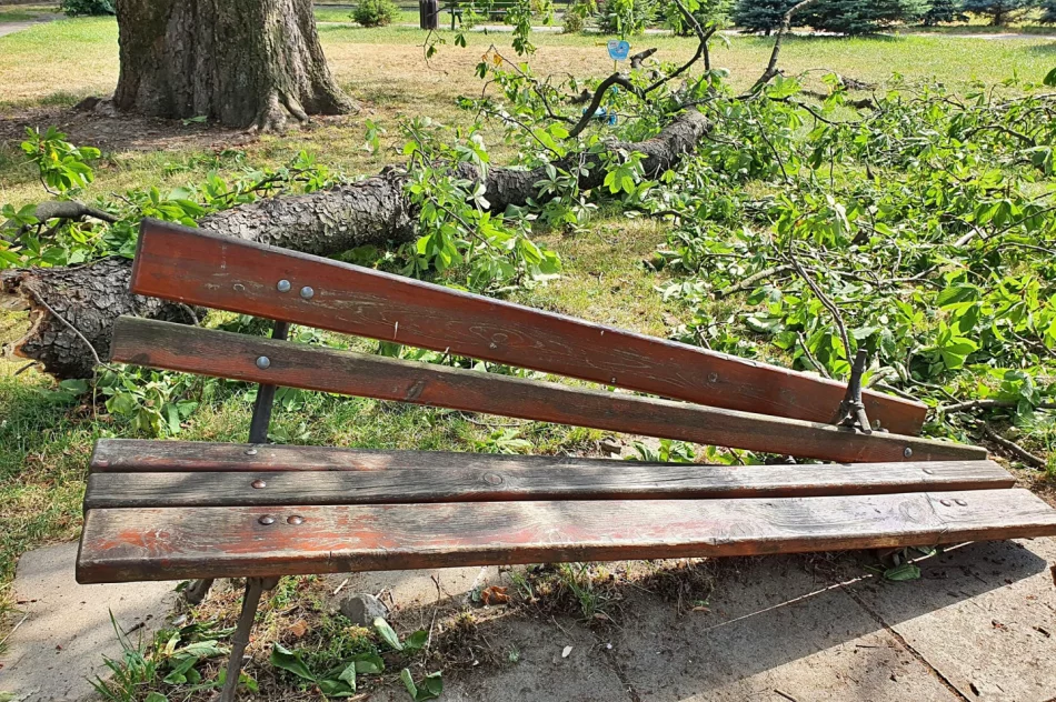 O włos od tragedii - zdjęcie 2