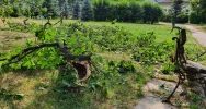 O włos od tragedii - zdjęcie 3