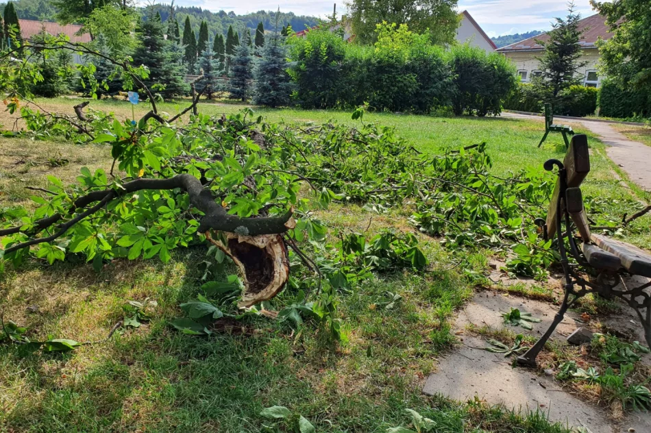 O włos od tragedii - zdjęcie 3