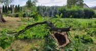 O włos od tragedii - zdjęcie 4