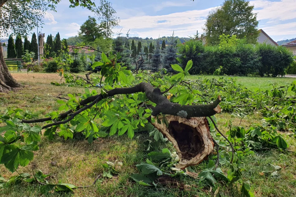 O włos od tragedii - zdjęcie 4