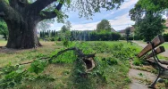 O włos od tragedii - zdjęcie 5