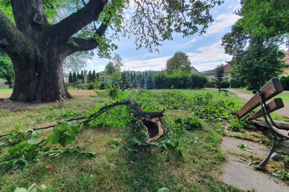 O włos od tragedii - zdjęcie 5