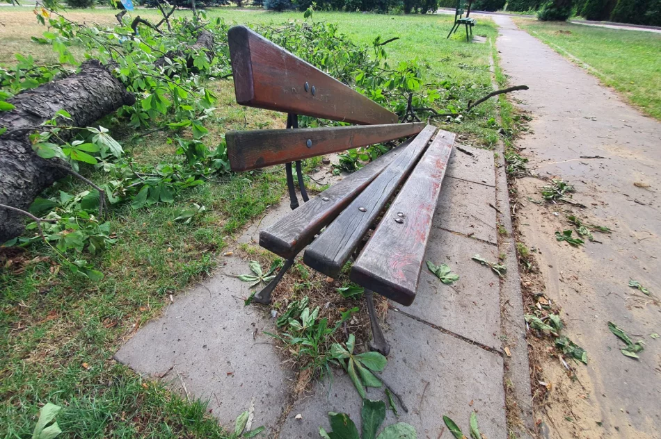 O włos od tragedii - zdjęcie 6