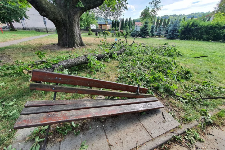 O włos od tragedii - zdjęcie 7