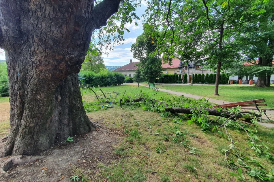 O włos od tragedii - zdjęcie 8