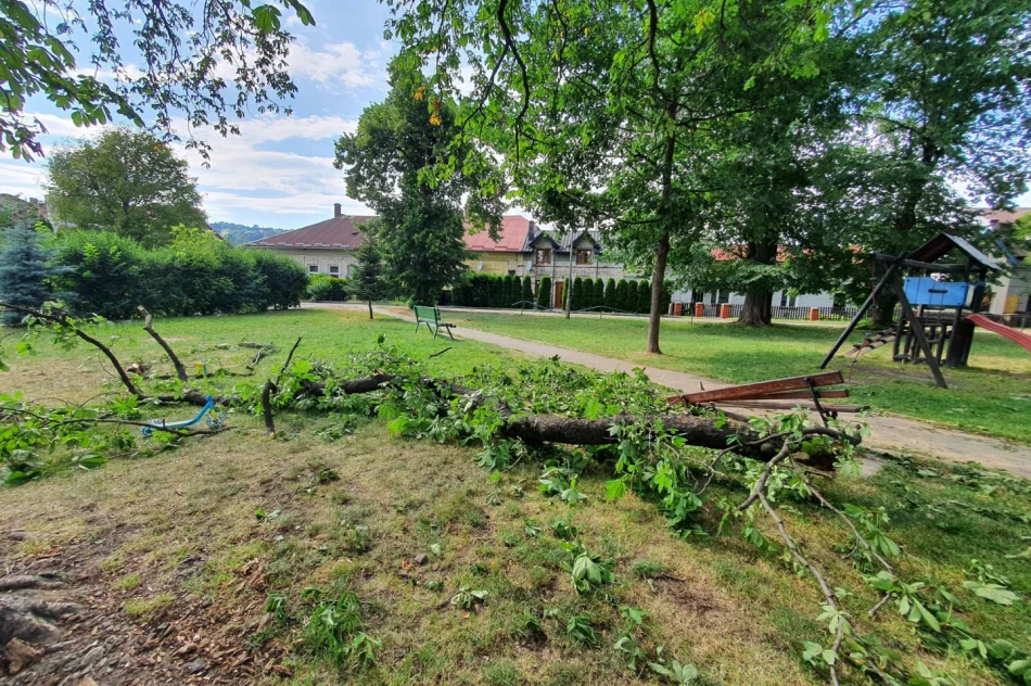 O włos od tragedii - zdjęcie 9