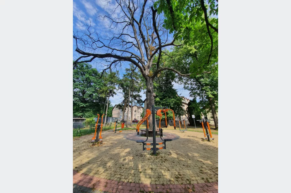 O włos od tragedii - zdjęcie 10