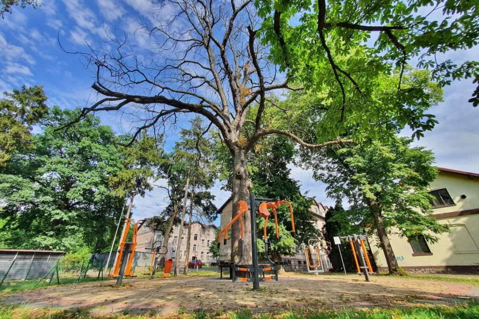 O włos od tragedii - zdjęcie 11