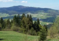 Gorce - zobacz to malownicze pasmo górskie - zdjęcie główne