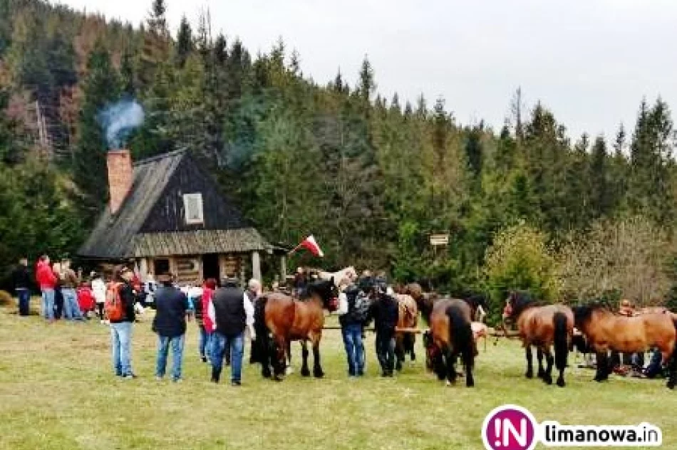 Drugi Gorczański Zjazd Konny - zdjęcie 3