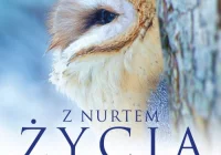 „Z Nurtem Życia” i „Uciekaj!” od 12 maja w kinie Klaps - zdjęcie główne