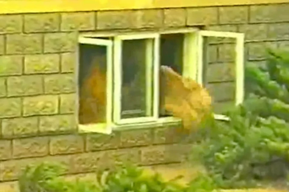 25 lat od powodzi stulecia - zobacz miasto i niszczycielską siłę żywiołu - zdjęcie 19