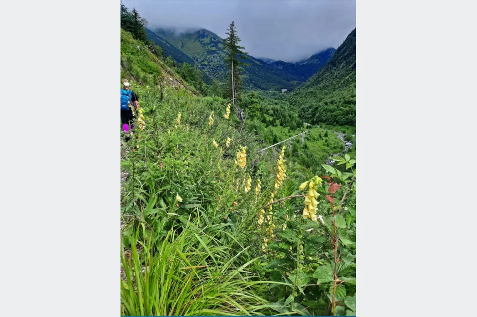 Trwa wakacyjna akcja „Wakacje z przewodnikiem” - zdjęcie 8