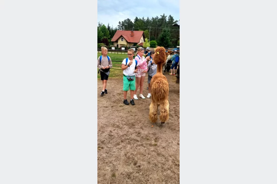 Udany wyjazd z licznymi atrakcjami - zdjęcie 7