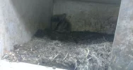 Zwierzęta odebrano, zawiadomiono policję - zdjęcie 2