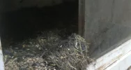 Zwierzęta odebrano, zawiadomiono policję - zdjęcie 5