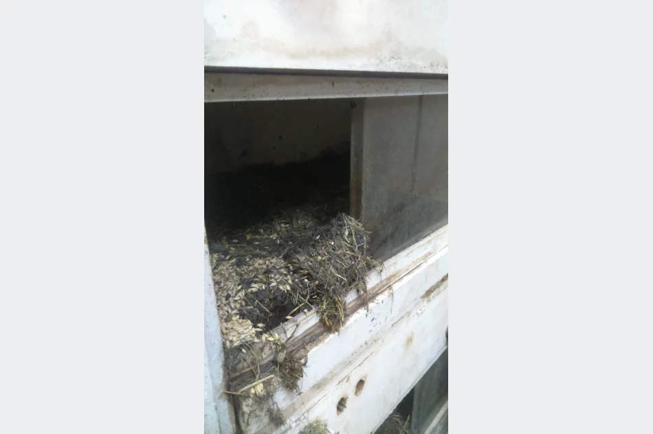 Zwierzęta odebrano, zawiadomiono policję - zdjęcie 5