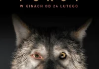 Kino Konesera – seans „Pokotu” już 31 marca! - zdjęcie główne