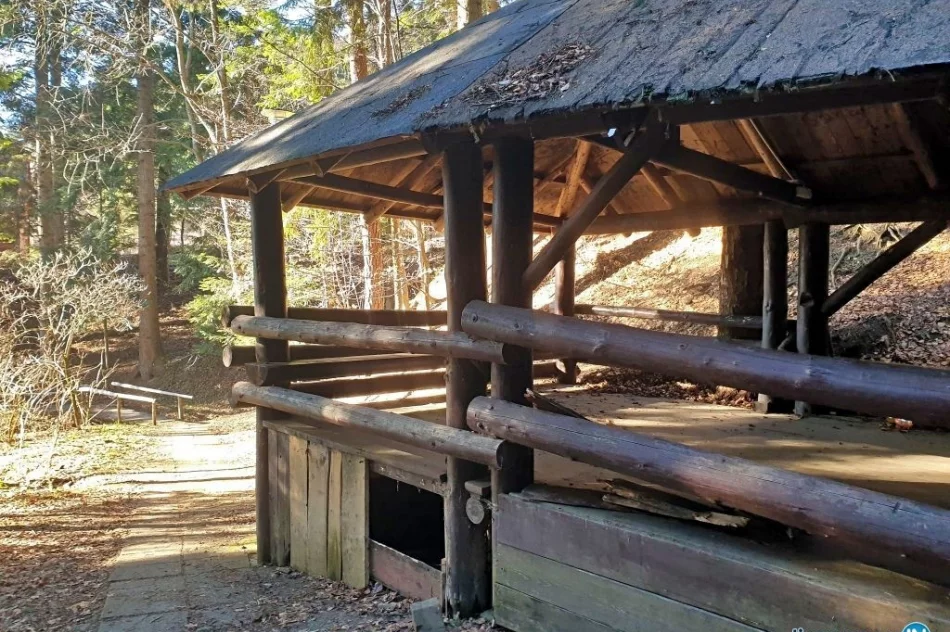 Rewitalizacja ma kosztować 600 tys. zł - zdjęcie 5