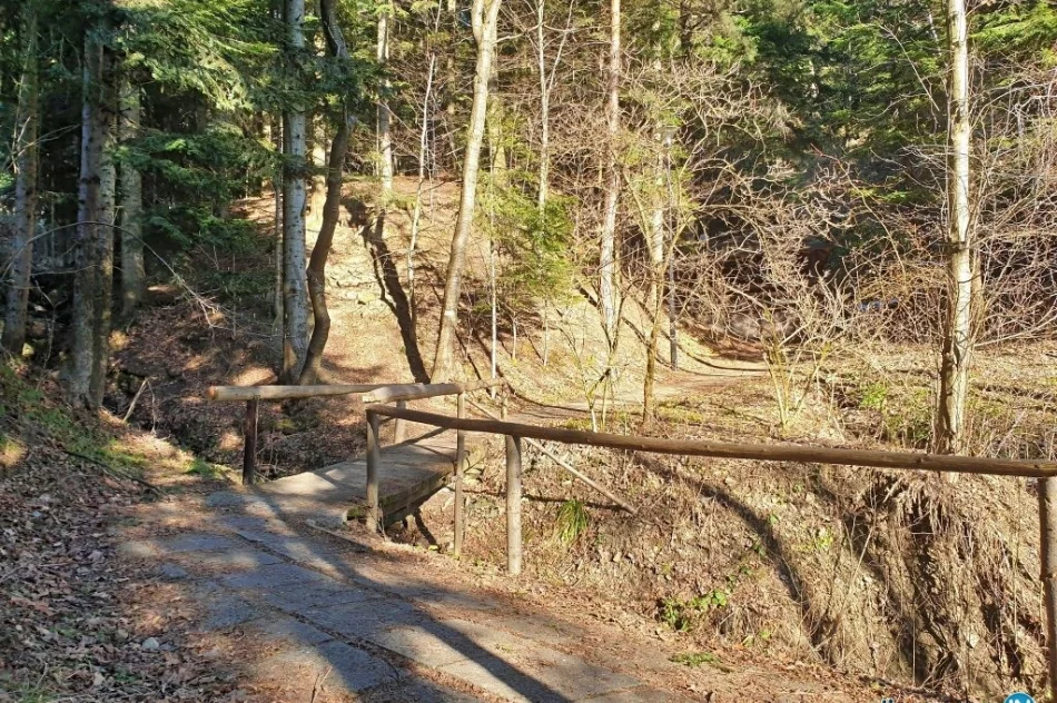 Rewitalizacja ma kosztować 600 tys. zł - zdjęcie 9