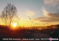 Znamy laureatów II edycji Konkursu Fotograficznego „W 365 dni dookoła Gminy Limanowa” - zdjęcie główne