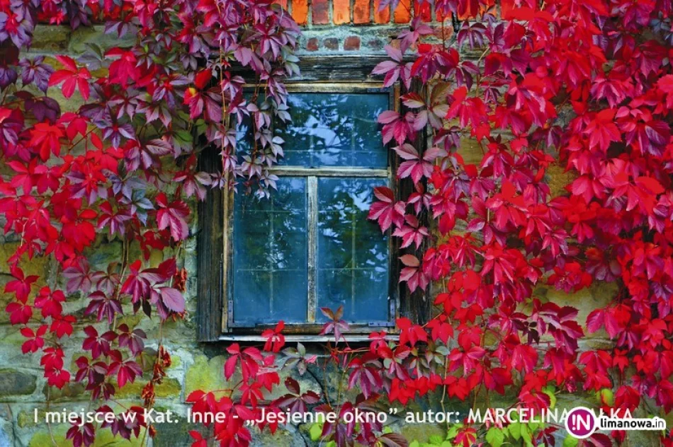 Znamy laureatów II edycji Konkursu Fotograficznego „W 365 dni dookoła Gminy Limanowa” - zdjęcie 3