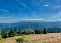 Prognoza synoptyczna na 29 tydzień roku  - zdjęcie główne