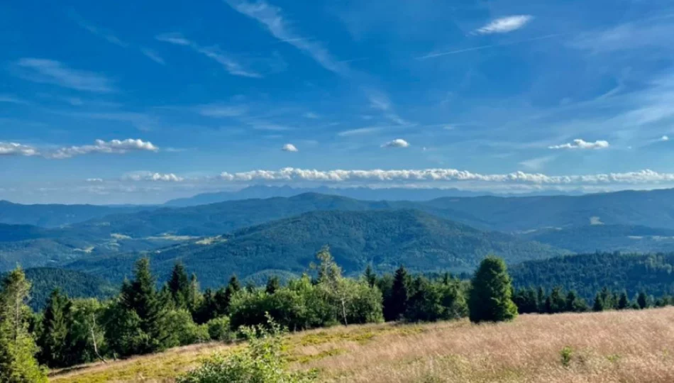 Prognoza synoptyczna na 29 tydzień roku  - zdjęcie 1