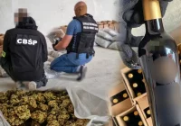 Marihuana w transporcie wina - zdjęcie główne