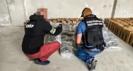 Marihuana w transporcie wina - zdjęcie 2