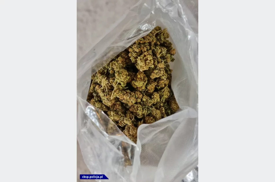 Marihuana w transporcie wina - zdjęcie 4