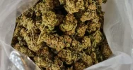 Marihuana w transporcie wina - zdjęcie 4