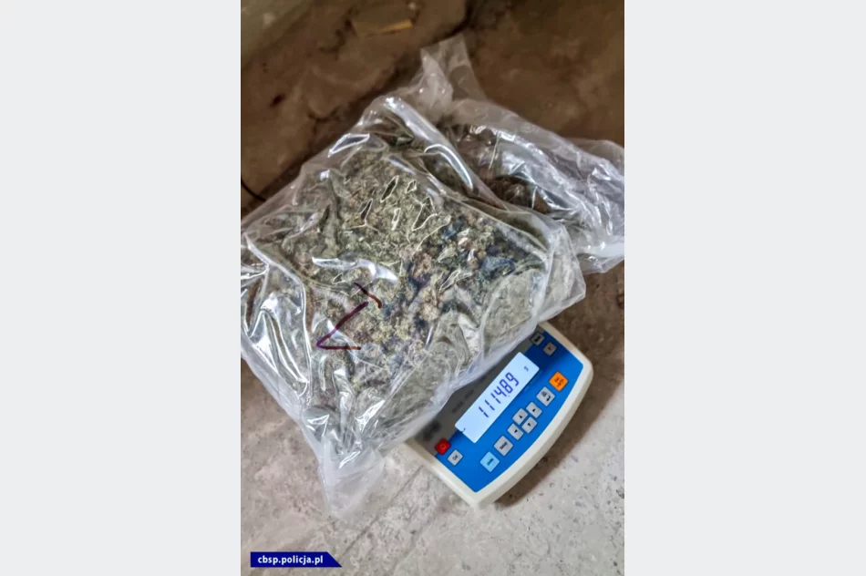 Marihuana w transporcie wina - zdjęcie 5