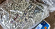 Marihuana w transporcie wina - zdjęcie 5
