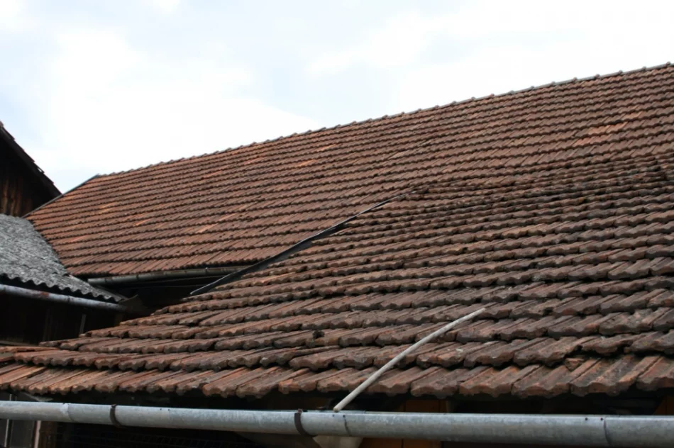 Ewenement w skali regionu - warto zwiedzić! - zdjęcie 12