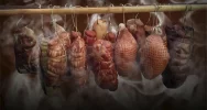 Od ziarnka do garnka - zdjęcie 4