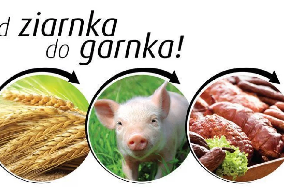 Od ziarnka do garnka - zdjęcie 6