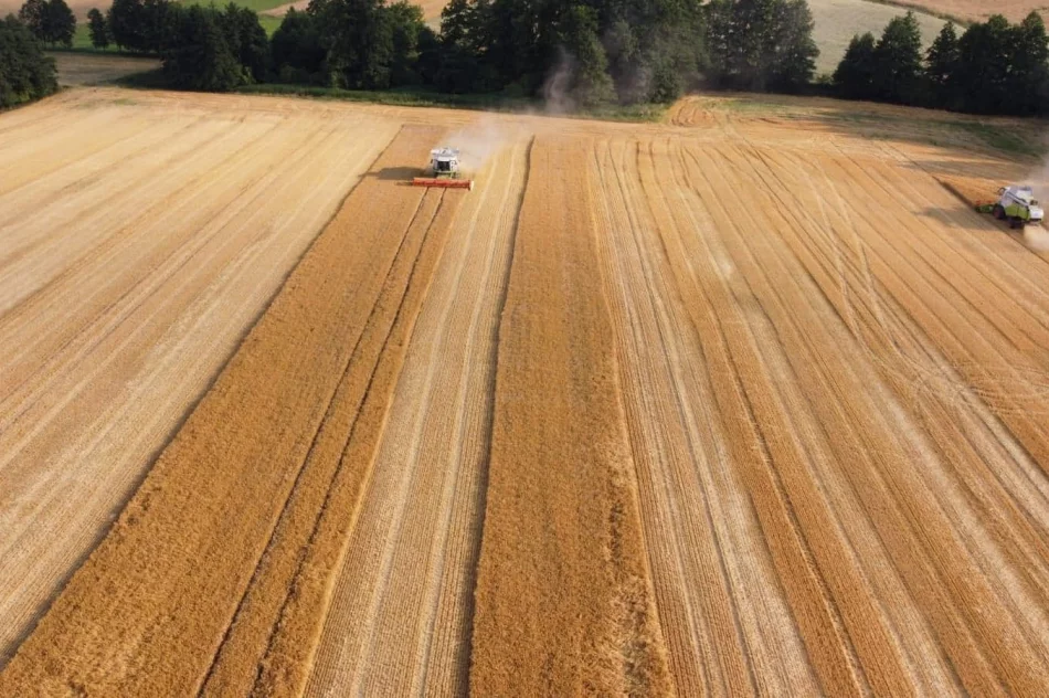 Od ziarnka do garnka - zdjęcie 10
